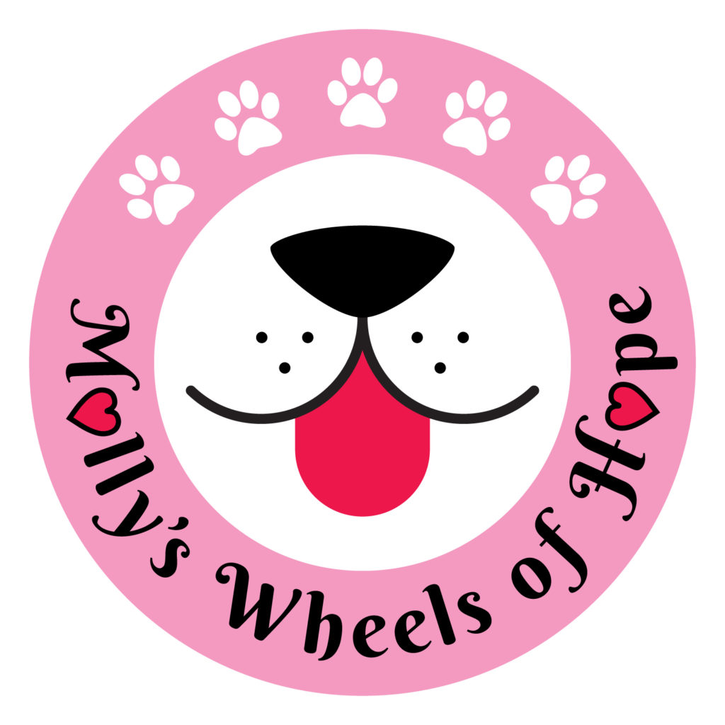 Molly's Wheels of Hope